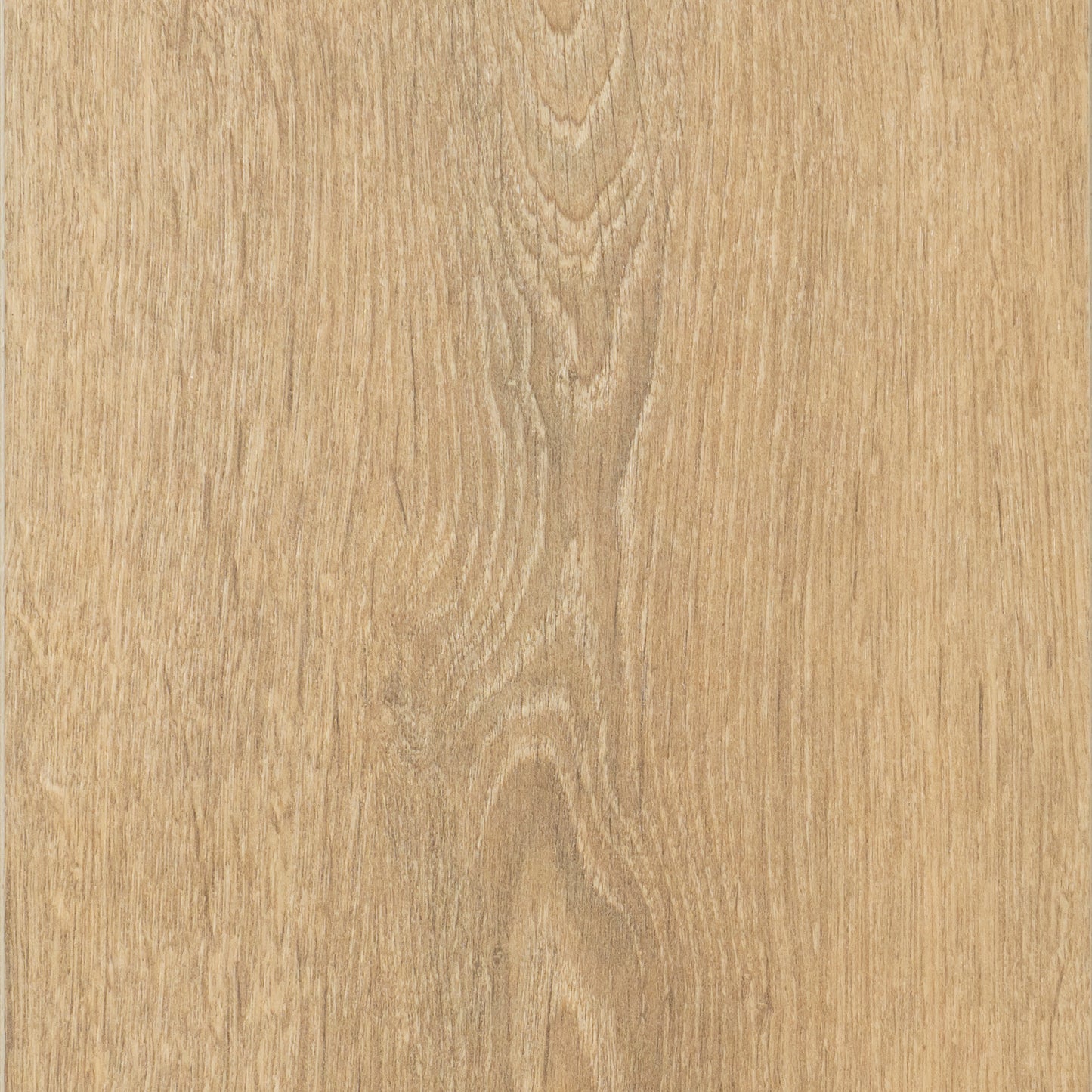 Blonde Oak | 8575